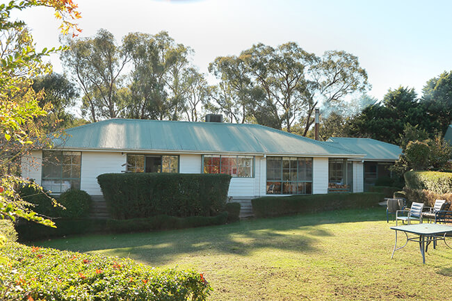 The White House across the lawn, framed by old eucalyptus.