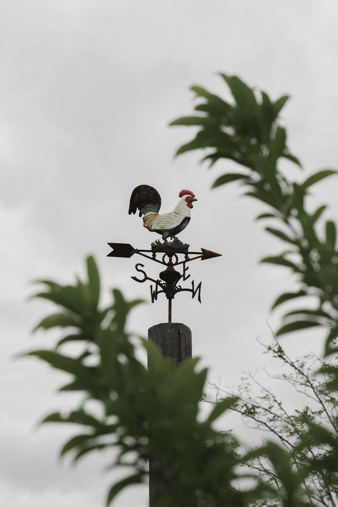 The old farm weathervane.