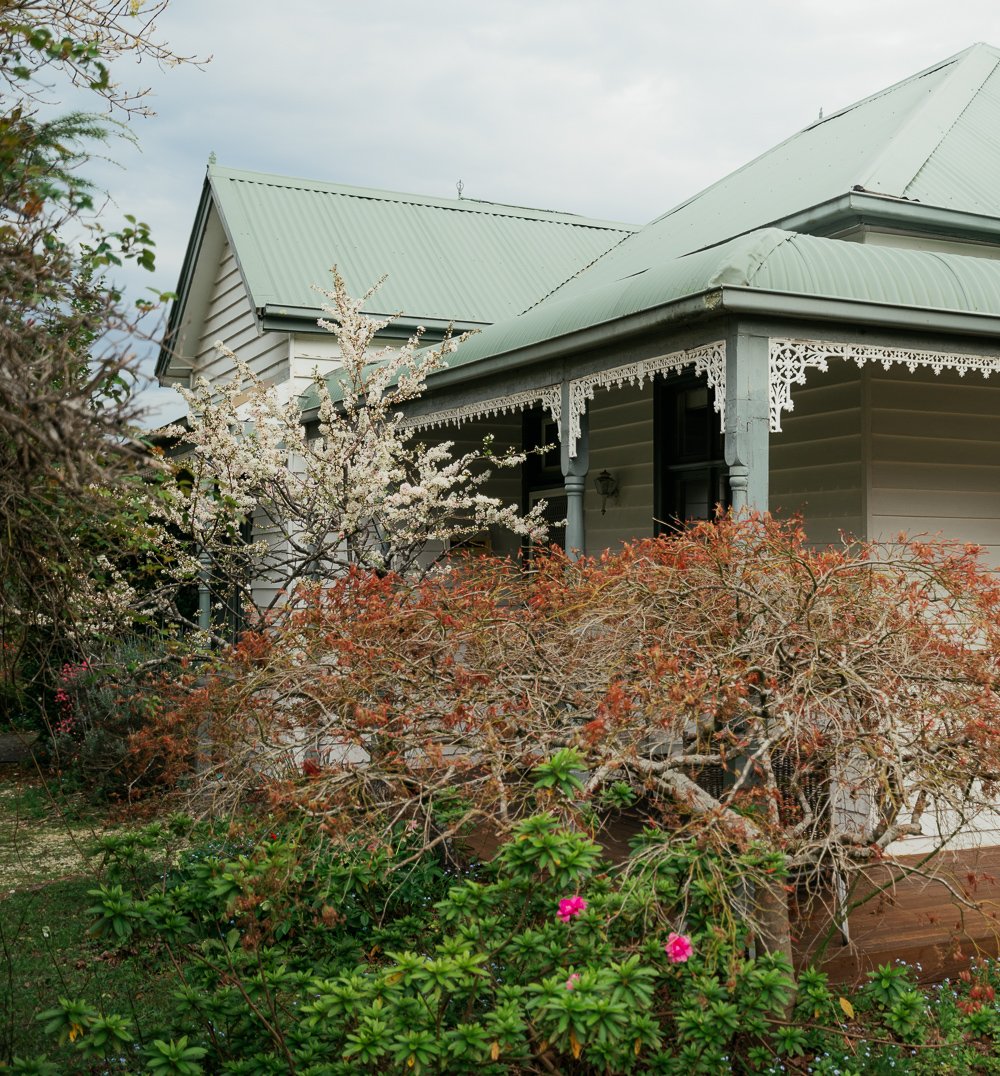 White Rose Cottage in late spring blossom.