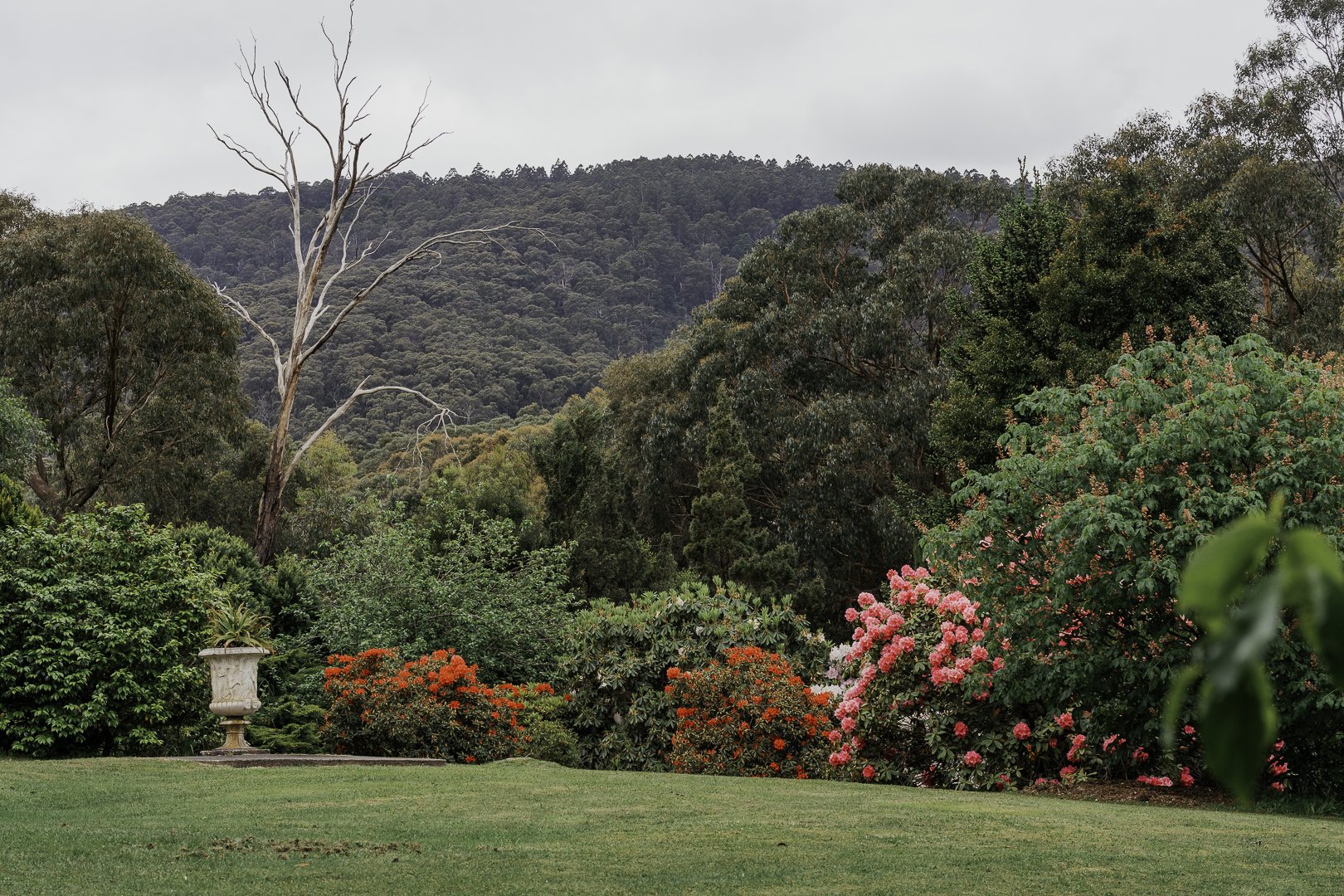 The Yarra Valley ridges from the garden.