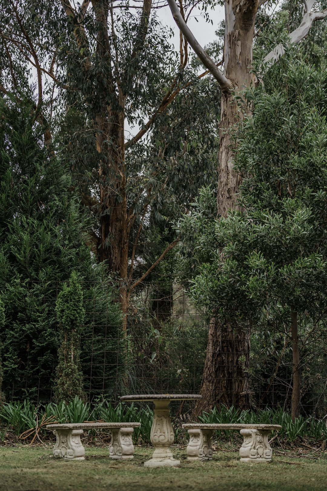 A stone bench under the eucalypts.