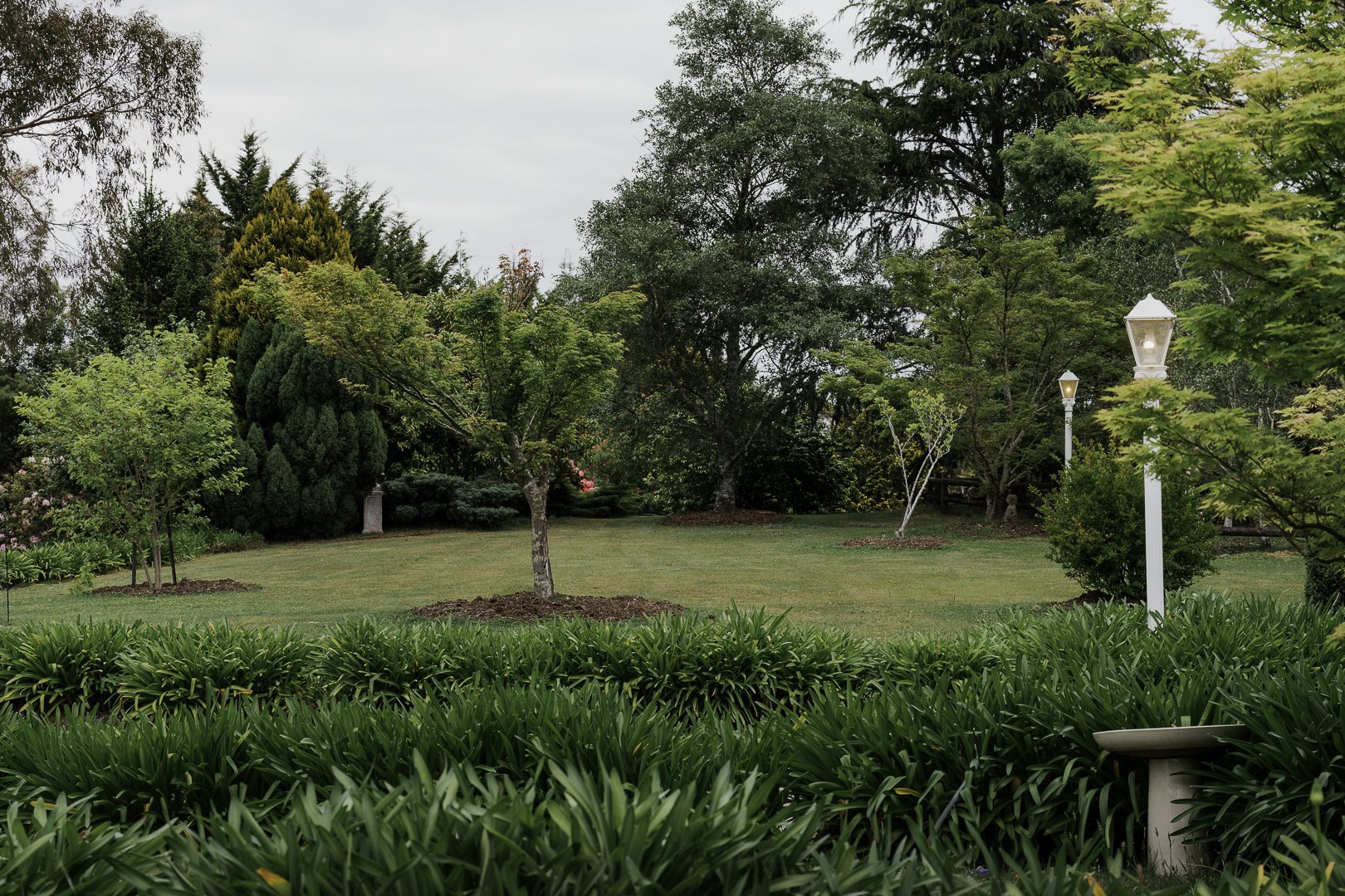 Late light over the garden.